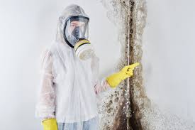 Best Mold Prevention Services  in Plandome, NY